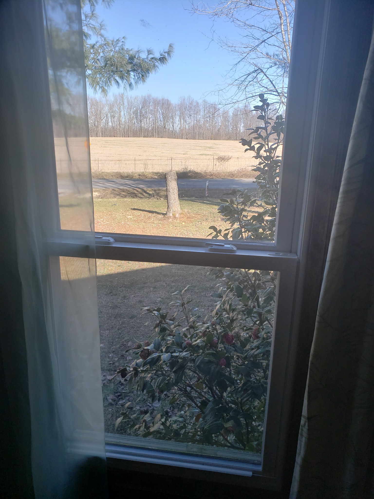 9 Howell Hill Road Fayetteville, TN 37334 - Photo 25 of 30 Gallery Image 25