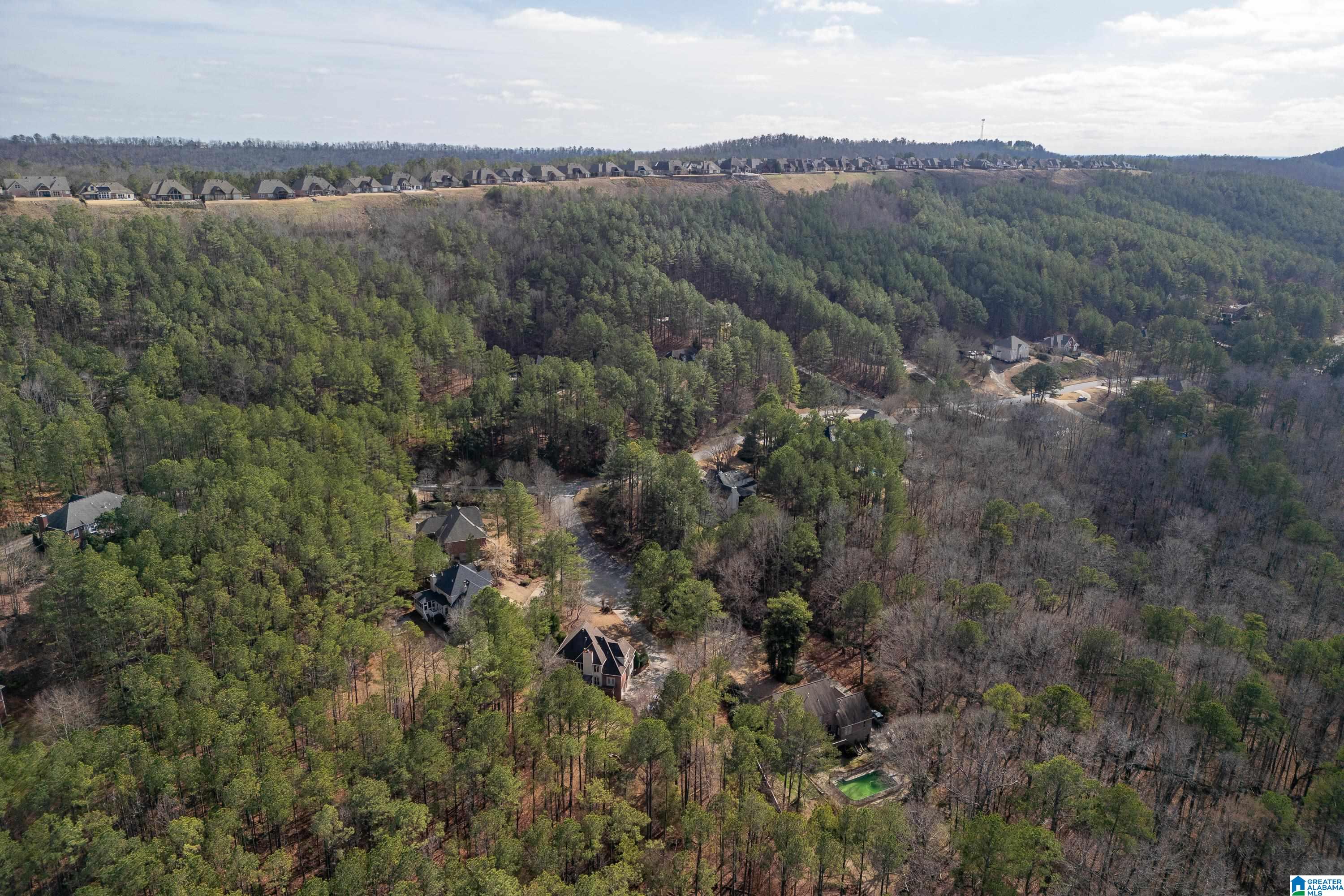 104 Windsor Trail Pelham, AL 35124 - Photo 77 of 79