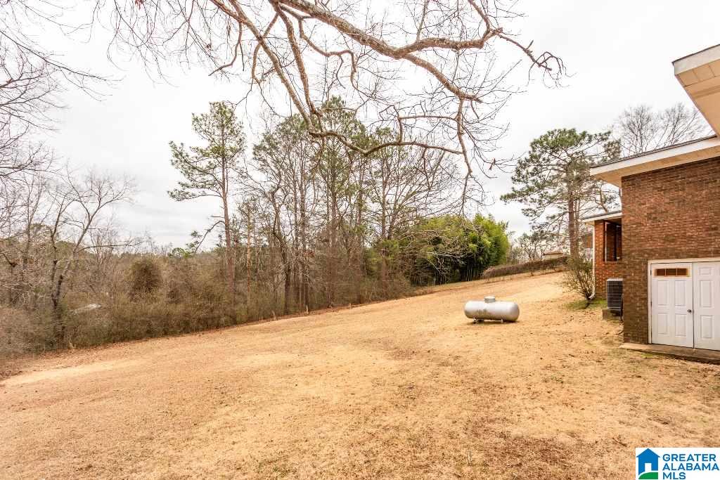 1181 Mountain View Road Talladega, AL 35160 - Photo 28 of 38