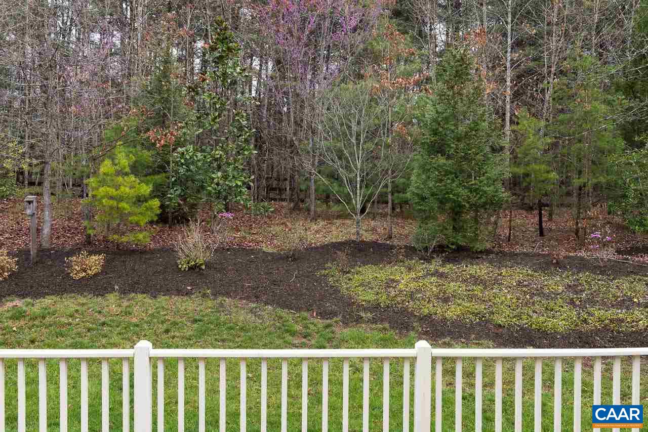 3392 Darby Road Keswick, VA 22947 - Photo 13 of 23 a view of a forest filled with trees