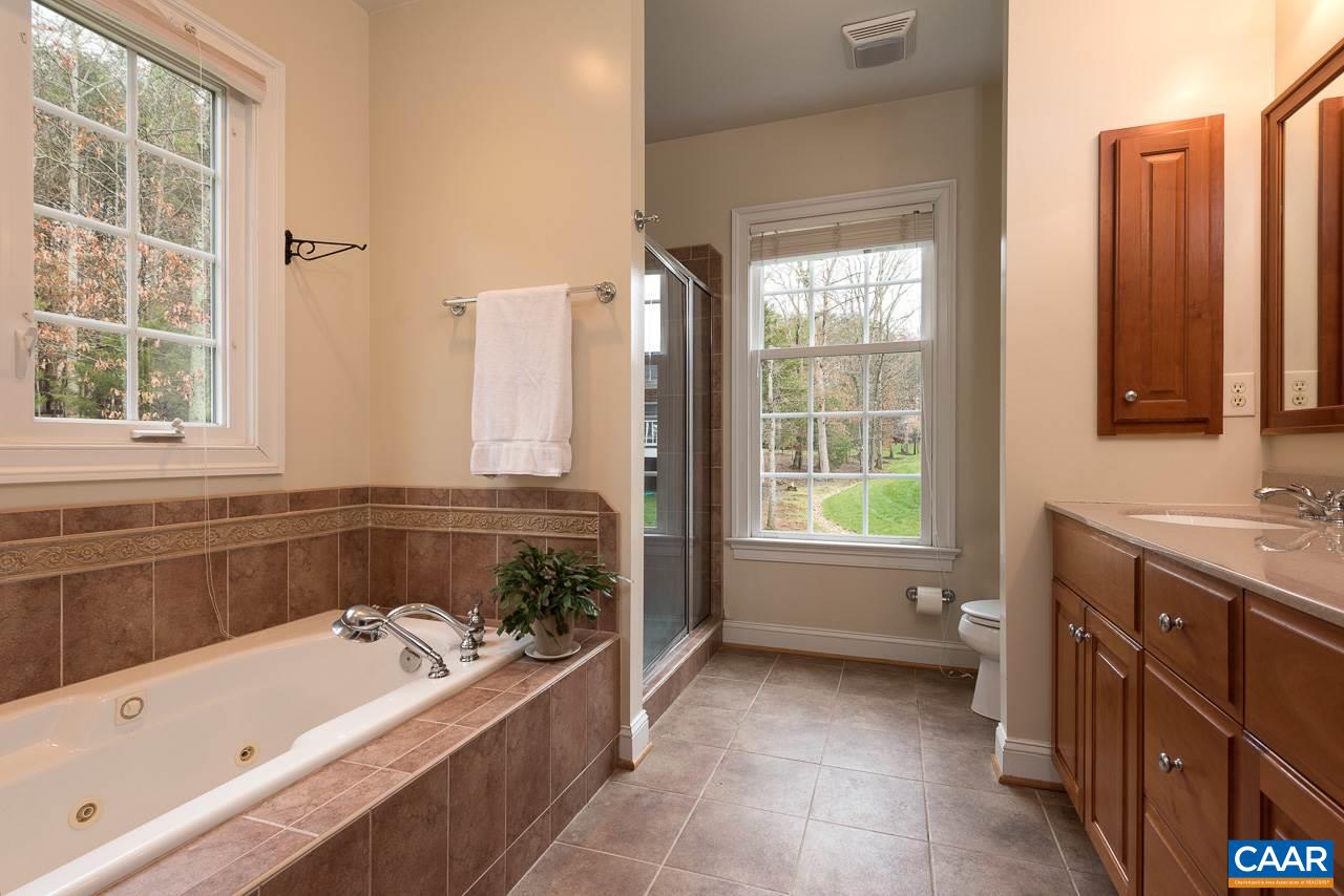 3392 Darby Road Keswick, VA 22947 - Photo 10 of 23 a bathroom with a bathtub and a sink