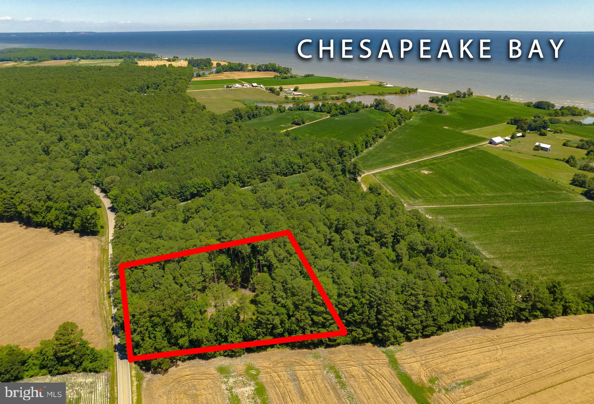 17328 St Jeromes Neck Road Dameron, MD 20628 - Photo 1 of 19