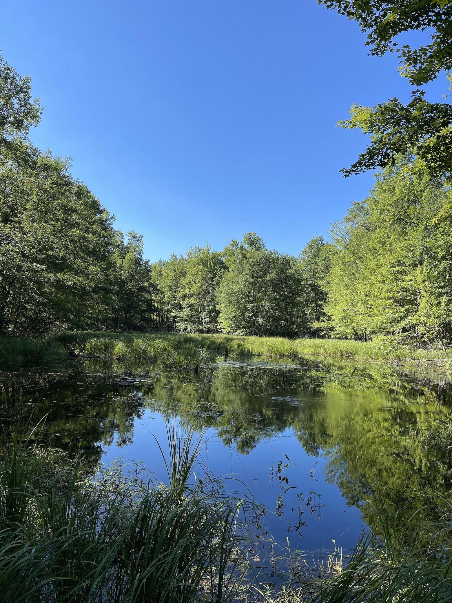 0 Grouse Road Sarona, WI 54870 - Photo 1 of 1 Gallery Image 1