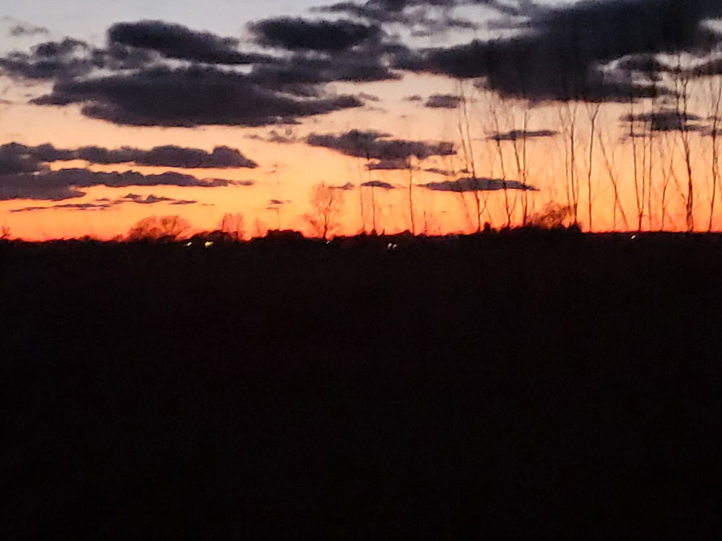 4381 North St Route Leland, IL 60531 - Photo 33 of 36 a view of sky from window
