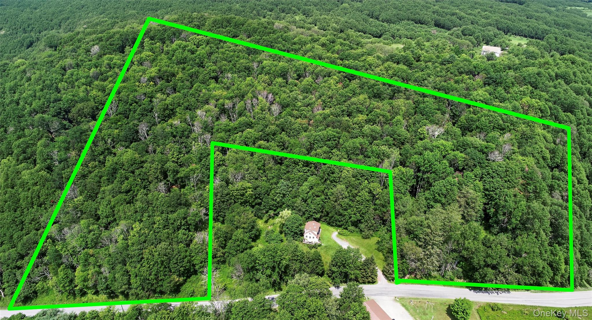 Tdb White Roe Lake Road Livingston Manor, NY 12758 - Photo 6 of 7 Gallery Image 6