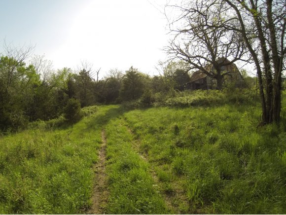 Tbd Coon Creek Road Branson, MO 65616 - Photo 1 of 1 Primary Photo