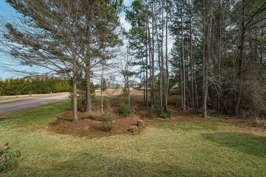 505 Treasure Cove Inman, SC 29349 - Photo 48 of 49