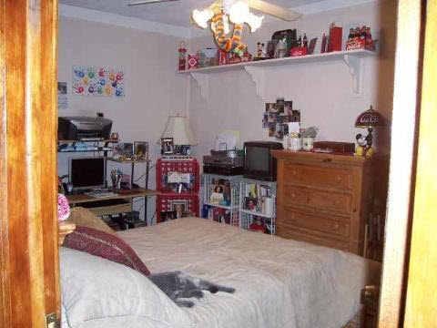 7286 Senator Detroit, MI 48209 - Photo 8 of 9 270510-7.JPG
