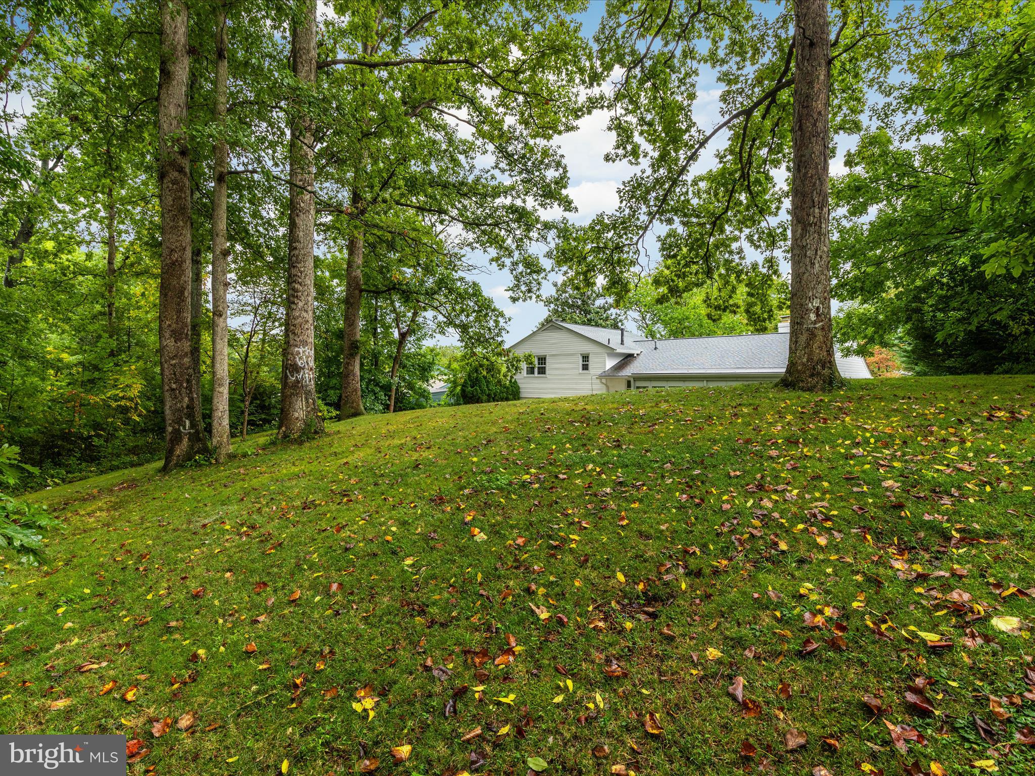 5313 Landgrave Lane Springfield, VA 22151 - Photo 45 of 58