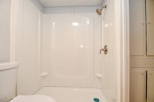 a bathroom with a shower and a toilet