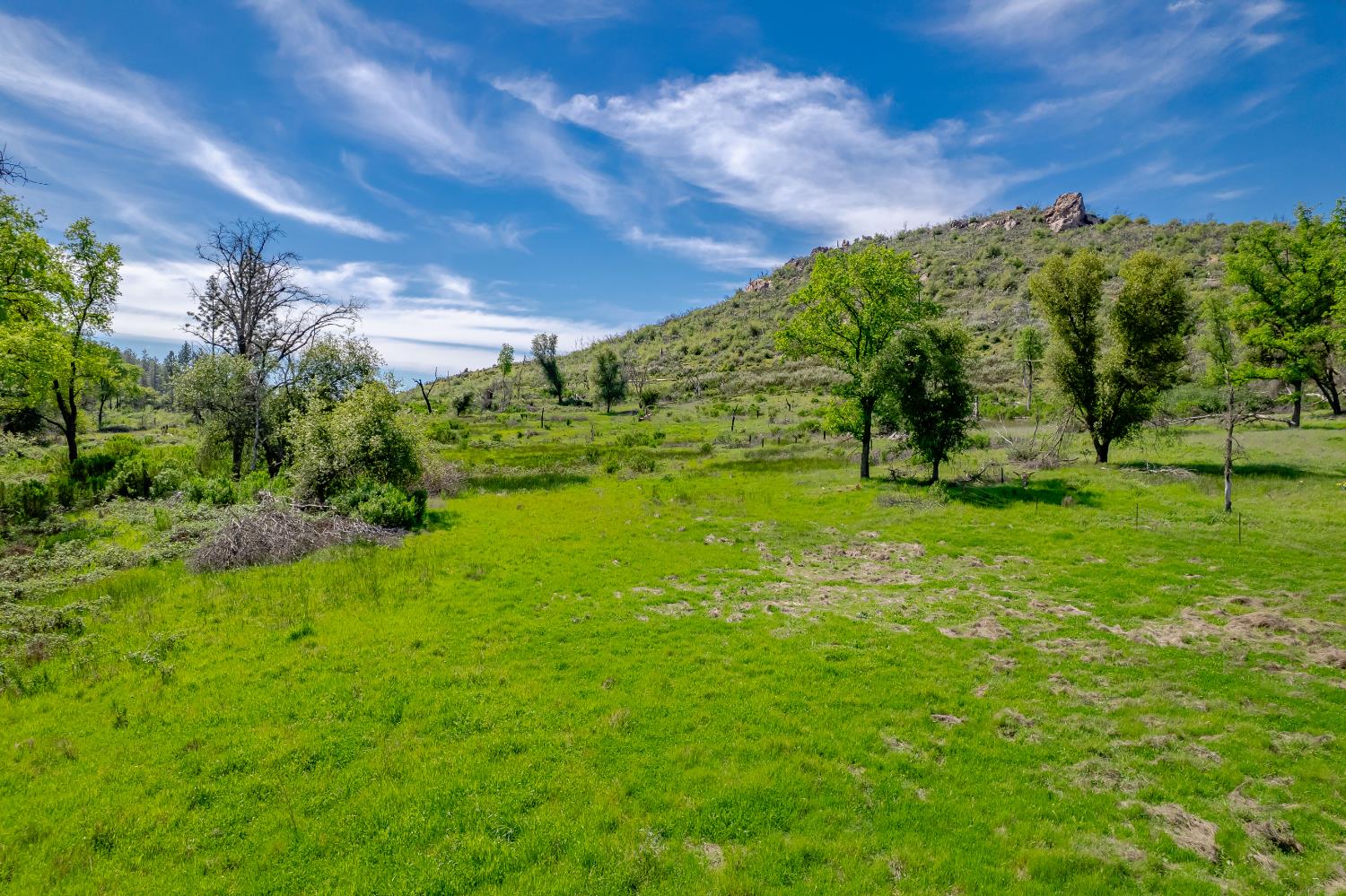 11923 Loma Rica Road Marysville, CA 95901 - Photo 11 of 35 Gallery Image 11