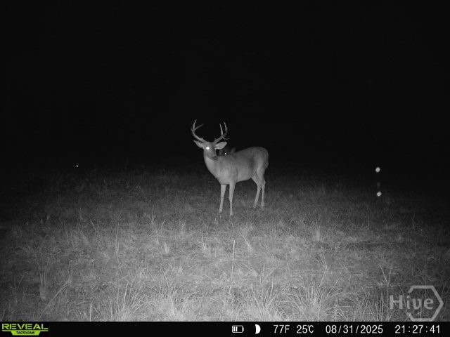 0 Tillman Eason Road Claxton, GA 30417 - Photo 27 of 28