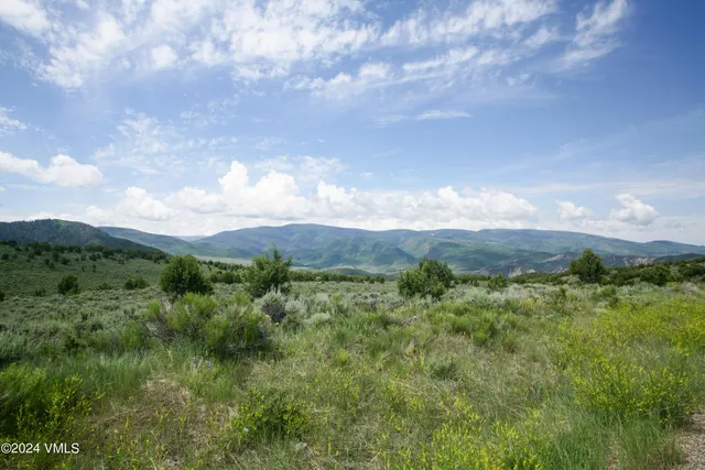 a view of a bunch of trees in a field