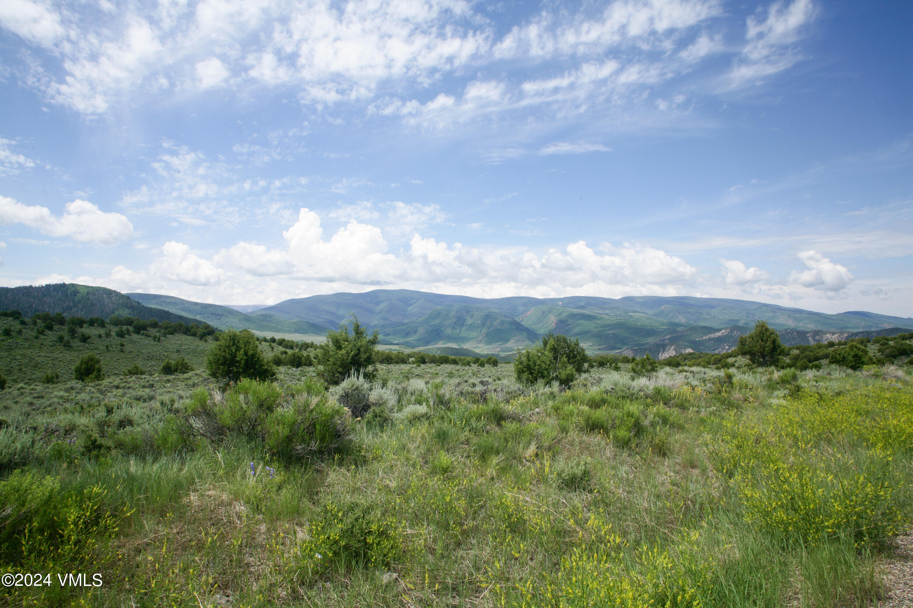 3566 Territory Trail Edwards, CO 81632 - Photo 13 of 14 a view of a bunch of trees in a field