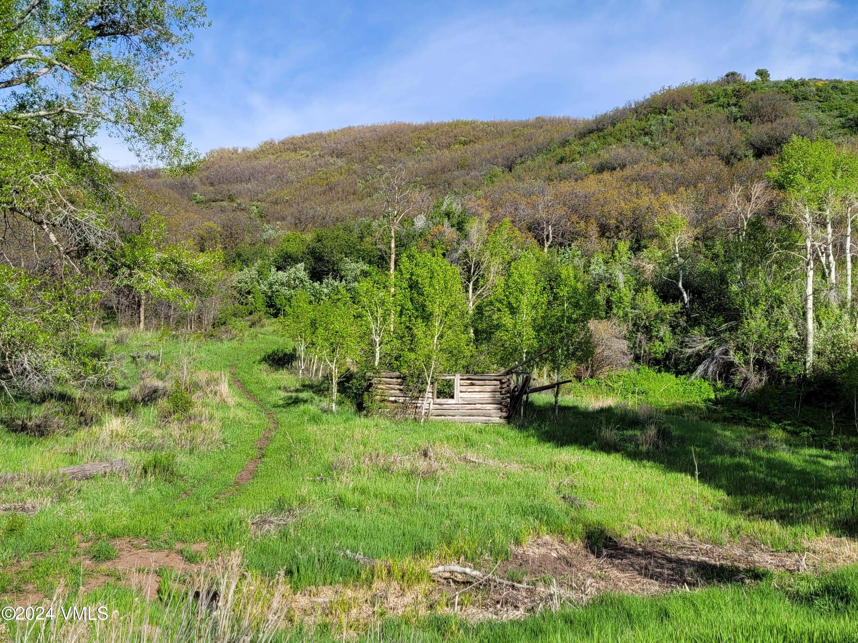 3566 Territory Trail Edwards, CO 81632 - Photo 7 of 14 a view of a lush green forest with trees in the background