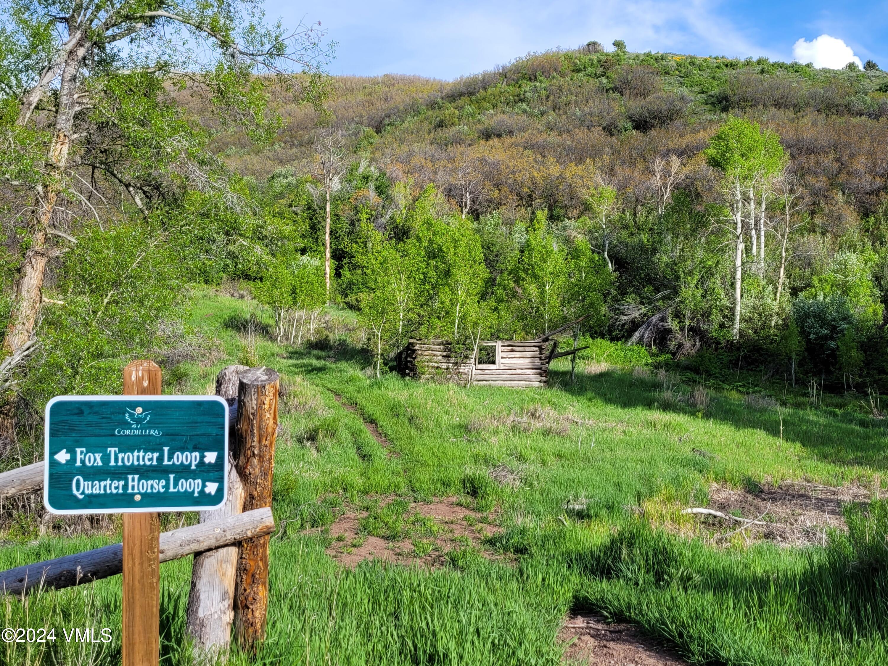 3566 Territory Trail Edwards, CO 81632 - Photo 8 of 14 not sure