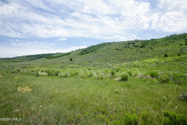 a view of a big yard with lots of green space