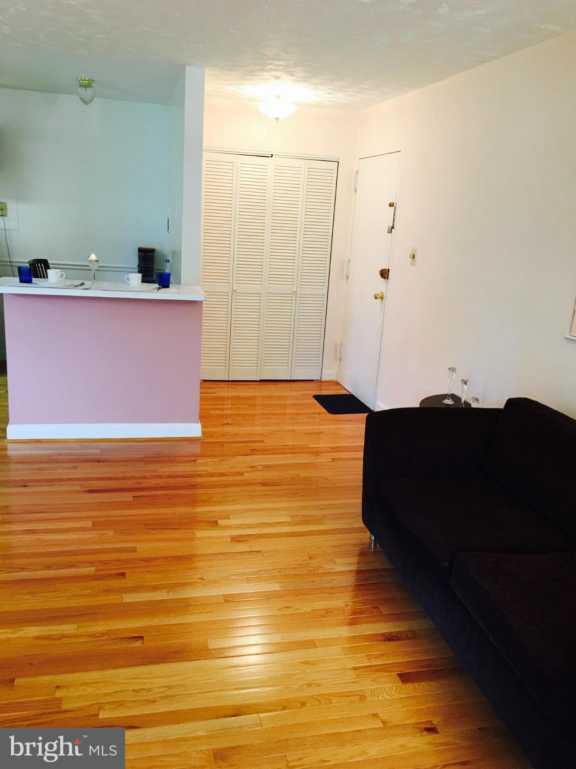 2211 Greenery Lane, Unit 2016 Silver Spring, MD 20906 - Photo 4 of 30 Living Room