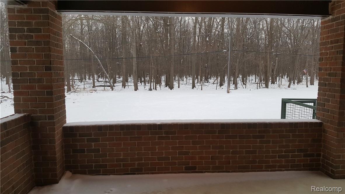 9118 Rucker Road Grosse Ile, MI 48138 - Photo 20 of 47 View to open space from back covered porch.