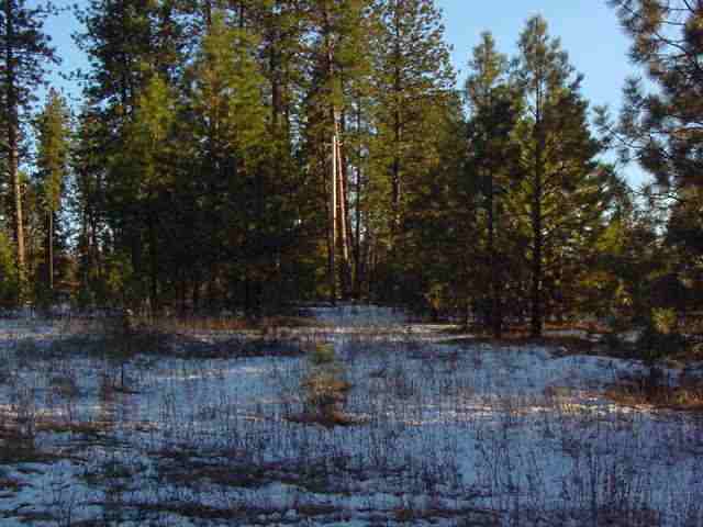 113-xx East Laurel Road Elk, WA 99009 - Photo 1 of 3