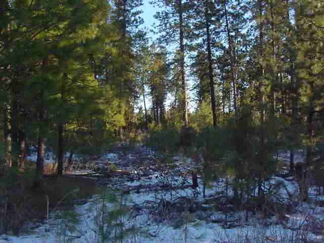 113-xx East Laurel Road Elk, WA 99009 - Photo 3 of 3