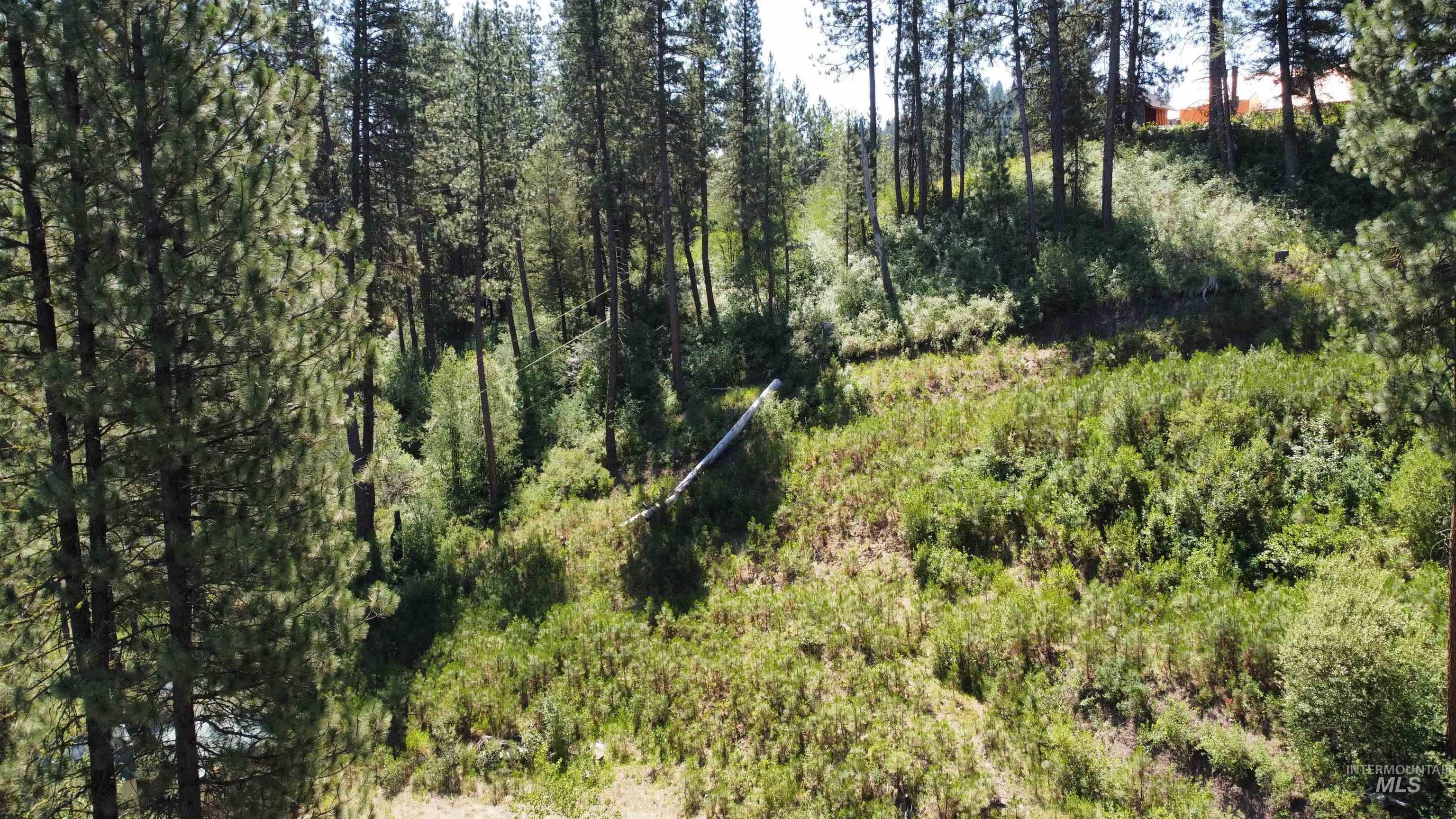 Tbd Beaver Creek Road Boise, ID 83716 - Photo 1 of 1 View of local wilderness