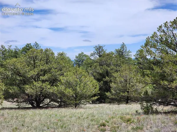 $30,000 | 0 7th Trail, Cotopaxi, CO 81223