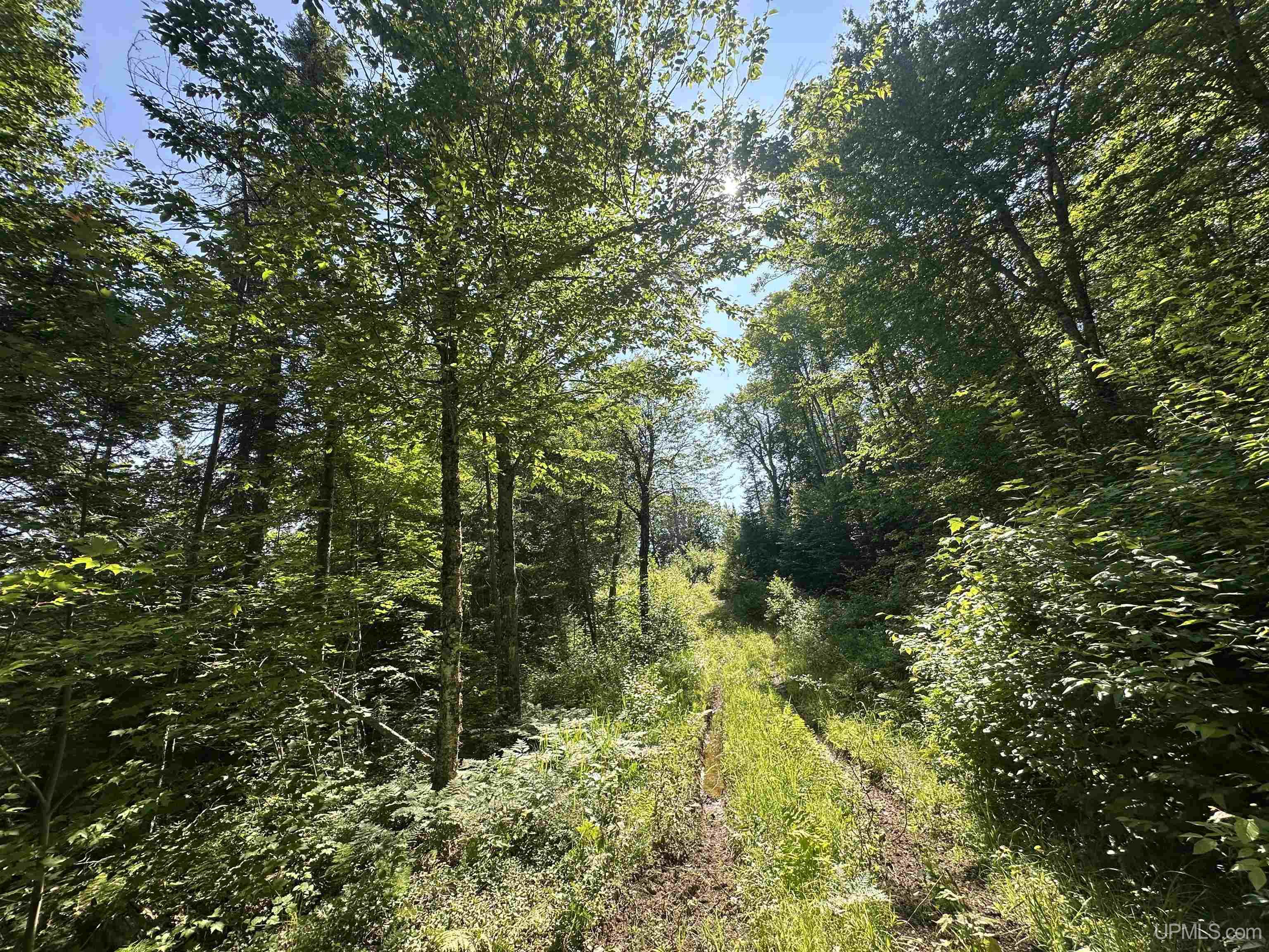 Off Indian Lake Road Michigamme, MI 49861 - Photo 1 of 9