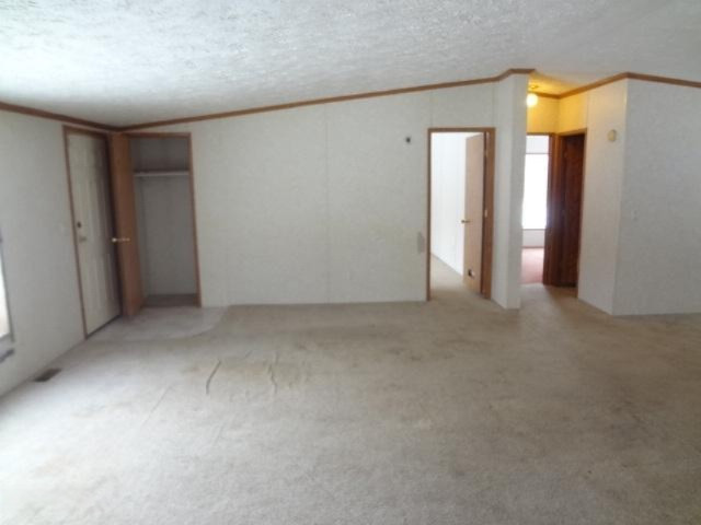 8191 Jones Road Howard City, MI 49329 - Photo 13 of 20 034
