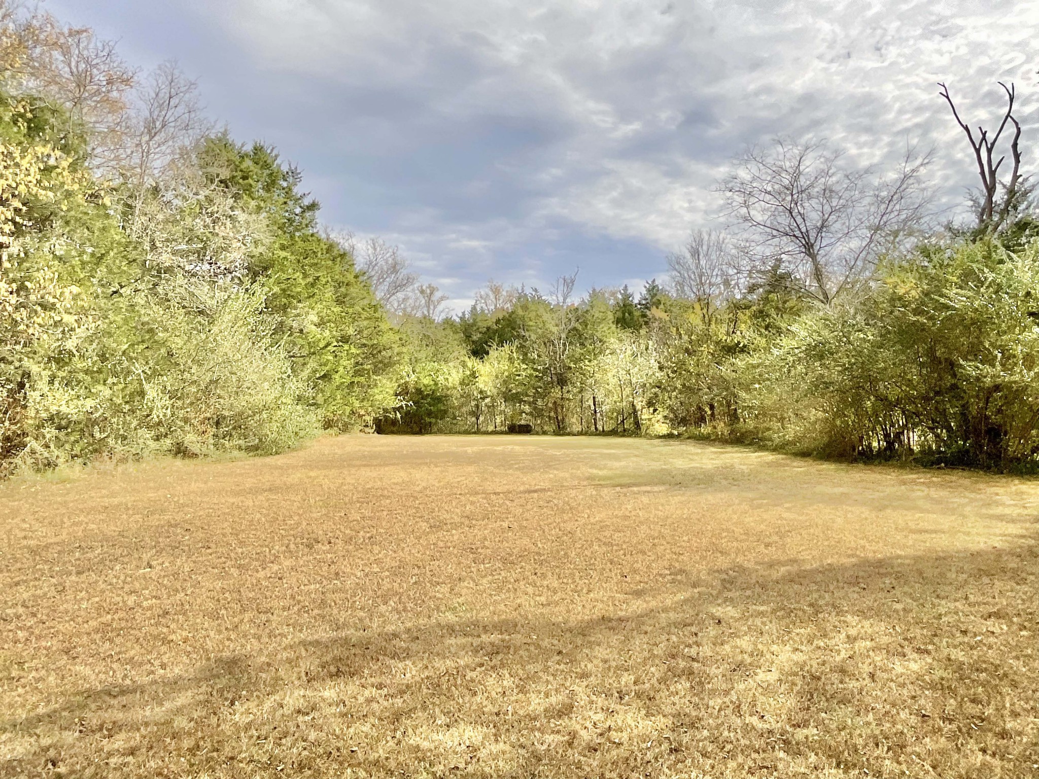 882 Cranor Road Murfreesboro, TN 37130 - Photo 3 of 8 a view of an ocean and beach