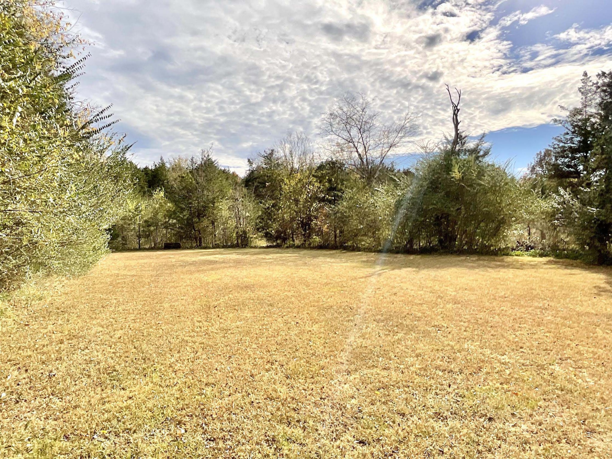 882 Cranor Road Murfreesboro, TN 37130 - Photo 7 of 8 a view of mountain view