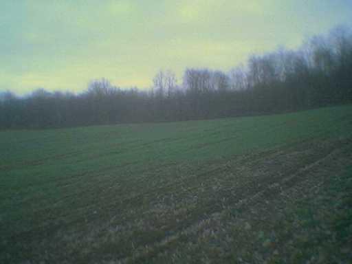 Habarka Road West Middlesex, PA 16159 - Photo 2 of 4 Other.
