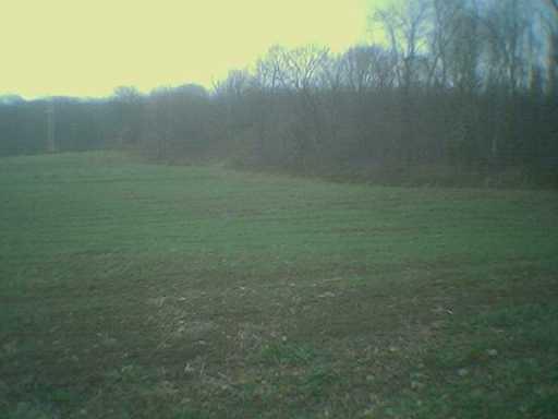 Habarka Road West Middlesex, PA 16159 - Photo 3 of 4 Other.