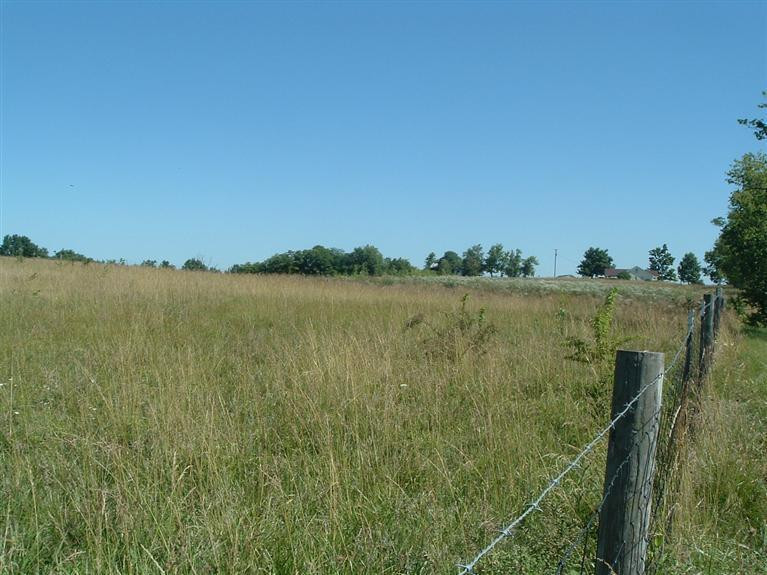 0 Quirks Run Road, Unit LOT 6 Danville, KY 40422 - Photo 7 of 7 Photo 7
