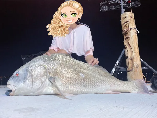 $2,500 | 3391 Highway 6, Hitchcock, TX 77563