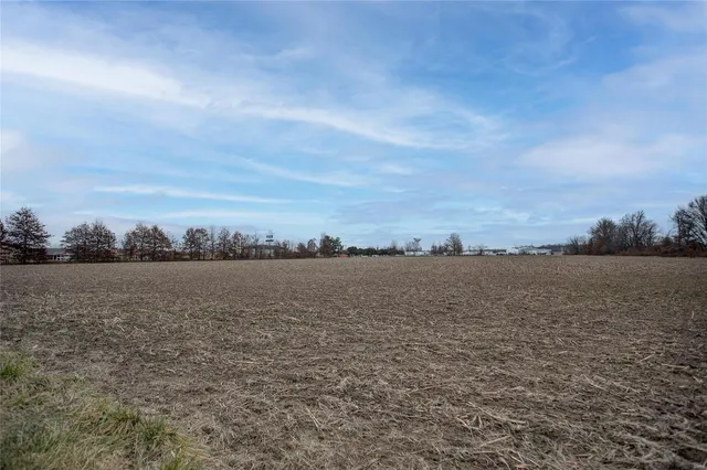 $695,000 | 0 Mills Cart Road, Salem, IL 62881