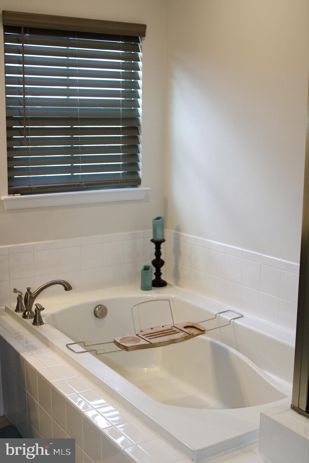 10200 Aerospace Road Lanham, MD 20706 - Photo 8 of 15 Owner's Suite bathroom (3rd floor)