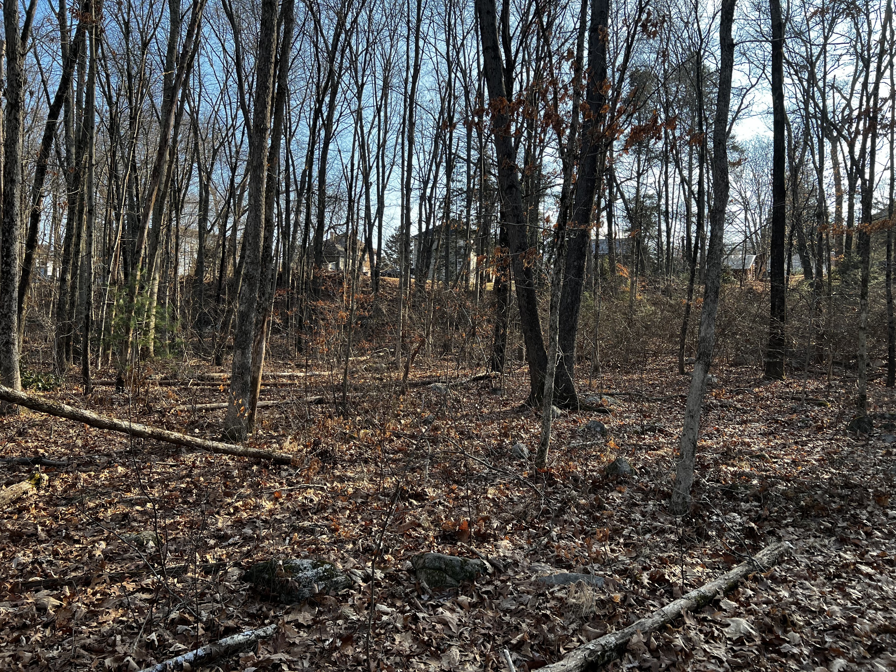 335 Pleasant Street Windham, CT 06226 - Photo 5 of 6