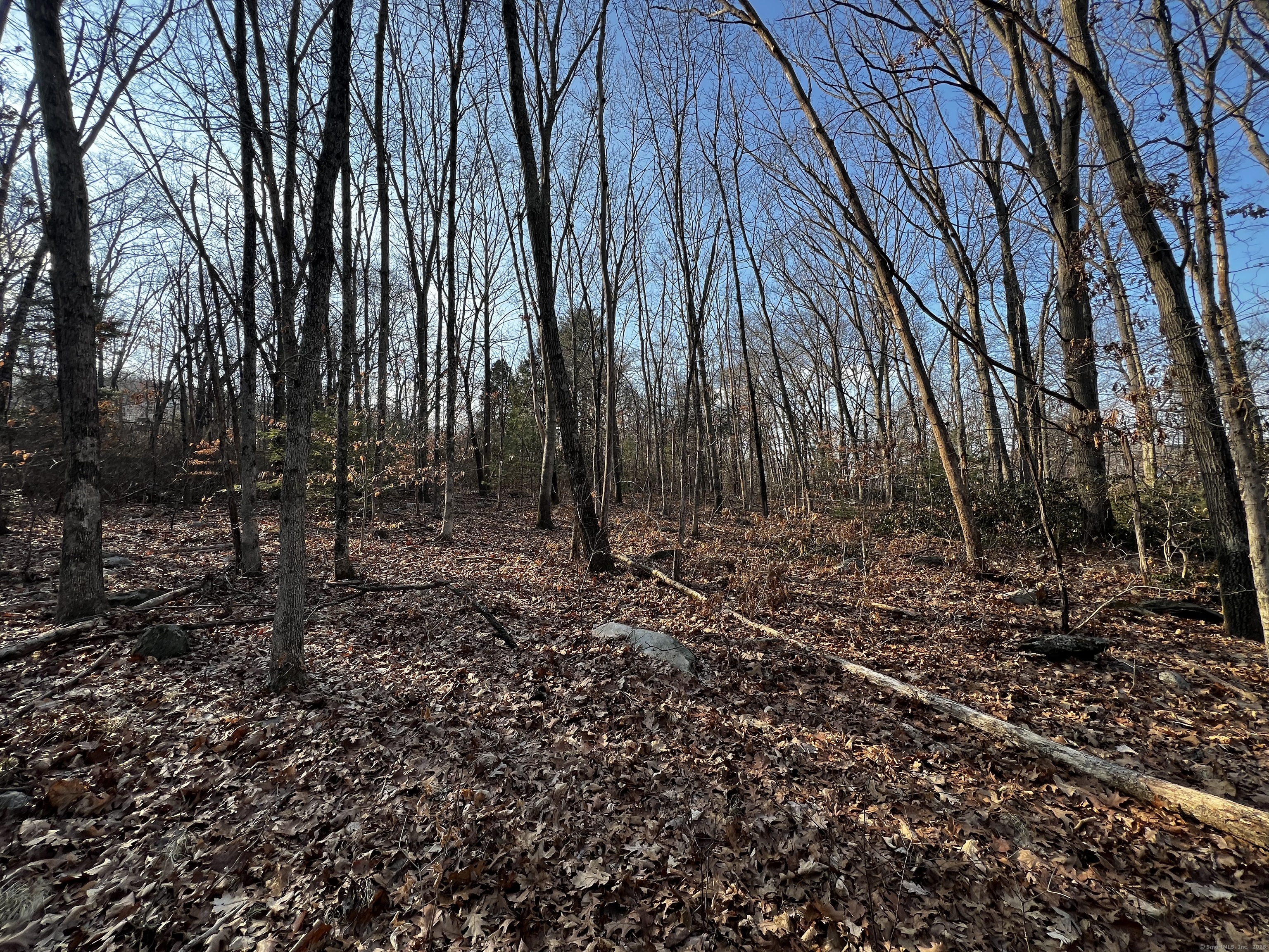 335 Pleasant Street Windham, CT 06226 - Photo 6 of 6