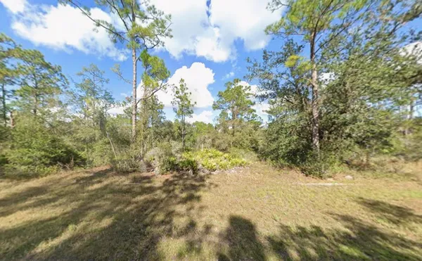 $12,000 | Tbd Plumosa Drive, Frostproof, FL 33843