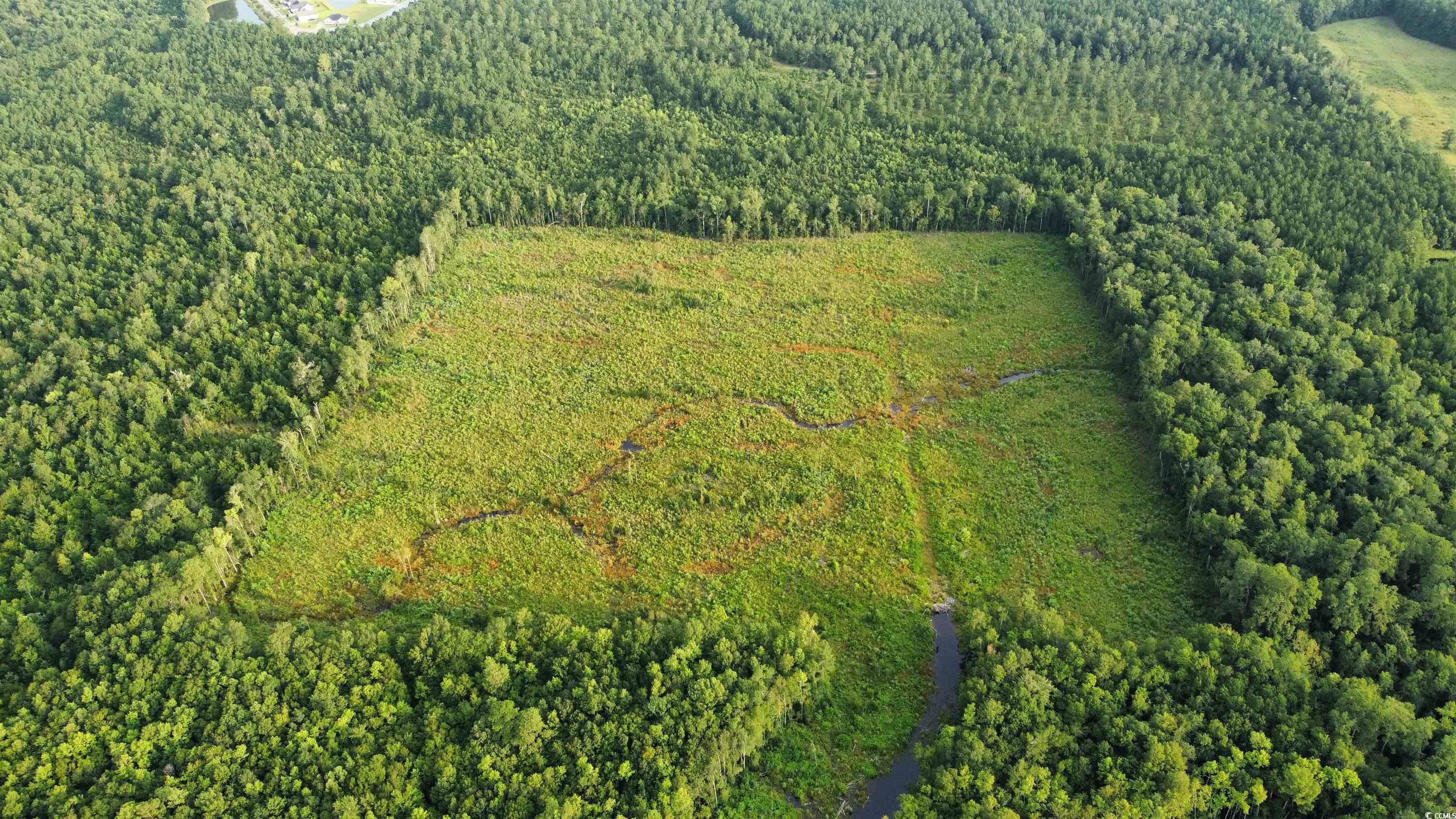 Tbd Oak Log Lake Road Conway, SC 29526 - Photo 2 of 7