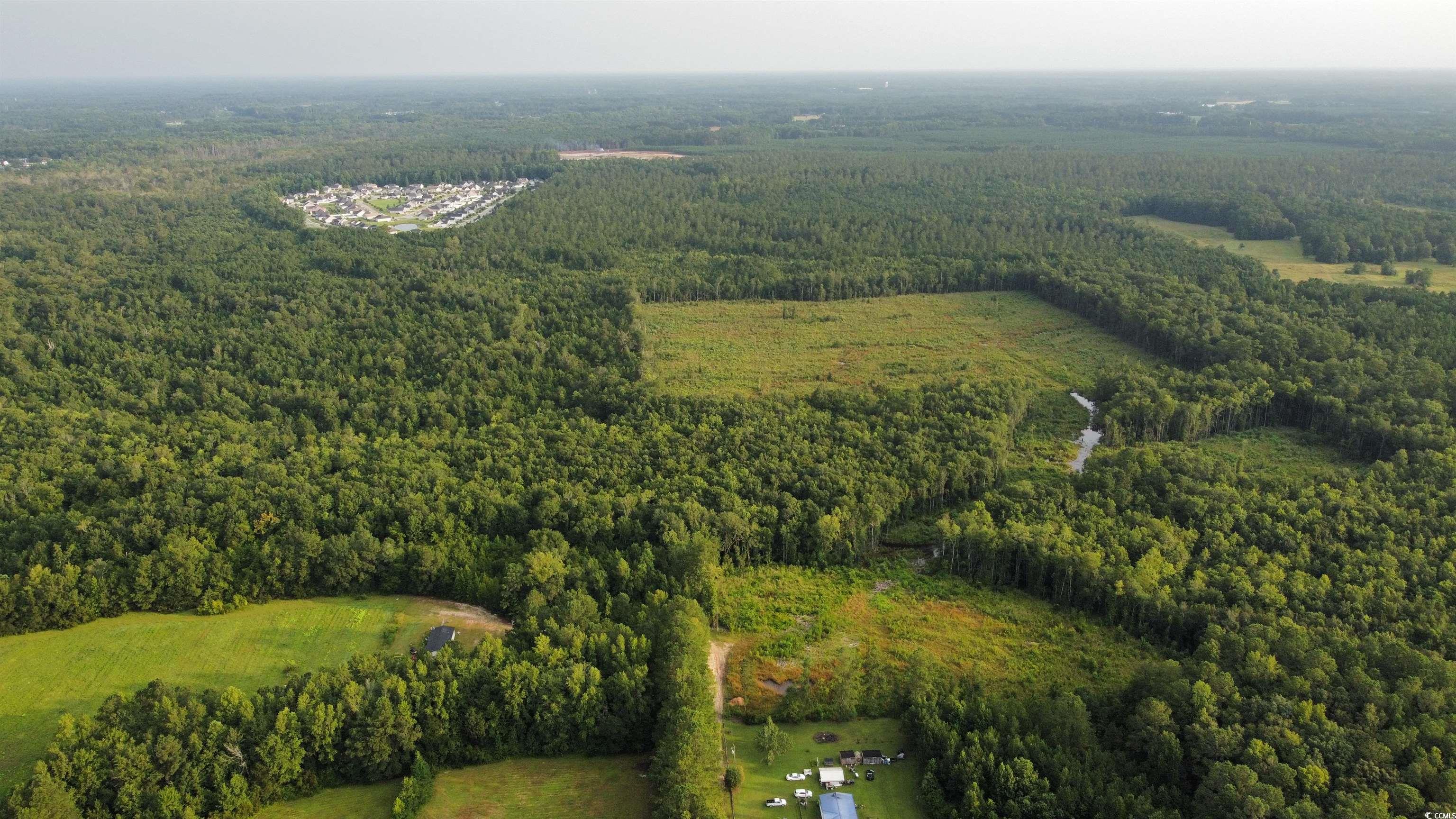 Tbd Oak Log Lake Road Conway, SC 29526 - Photo 3 of 7