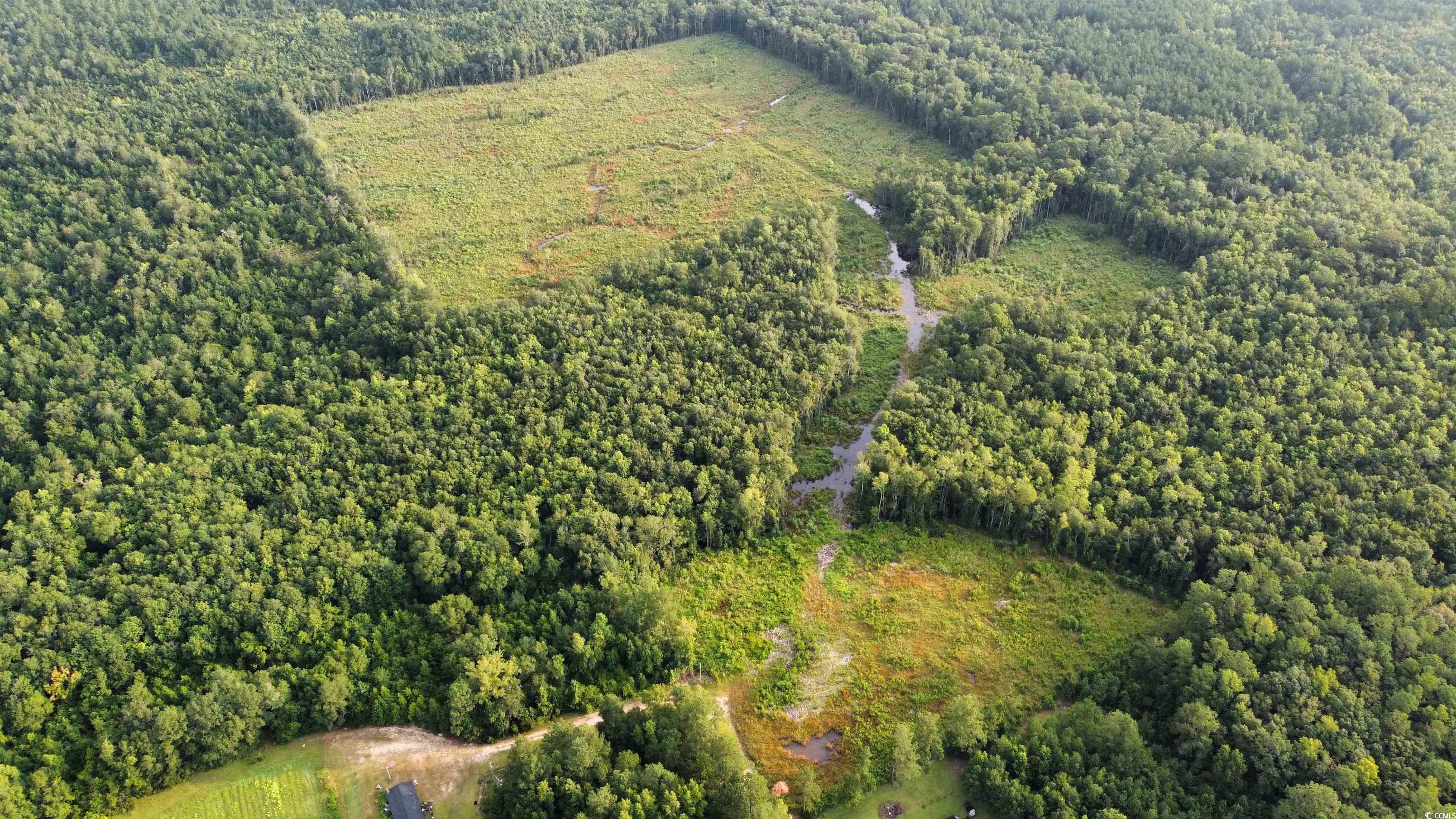 Tbd Oak Log Lake Road Conway, SC 29526 - Photo 5 of 7