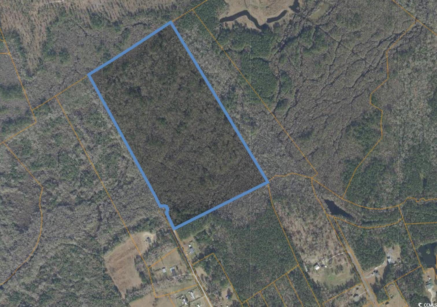 Tbd Oak Log Lake Road Conway, SC 29526 - Photo 6 of 7