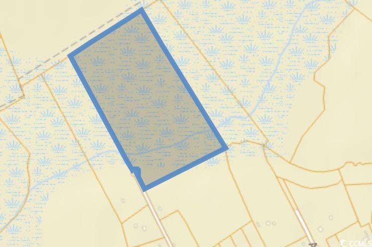 Tbd Oak Log Lake Road Conway, SC 29526 - Photo 7 of 7