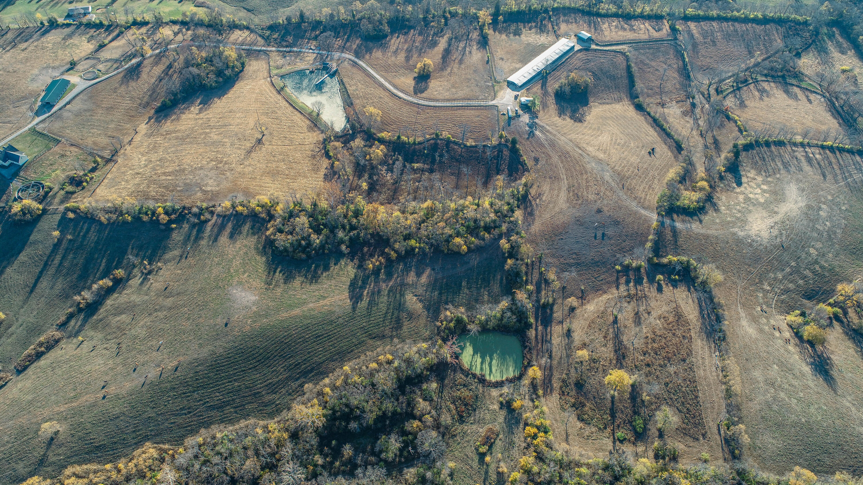 5563 Levy Road Paris, KY 40361 - Photo 19 of 23 DJI_0041