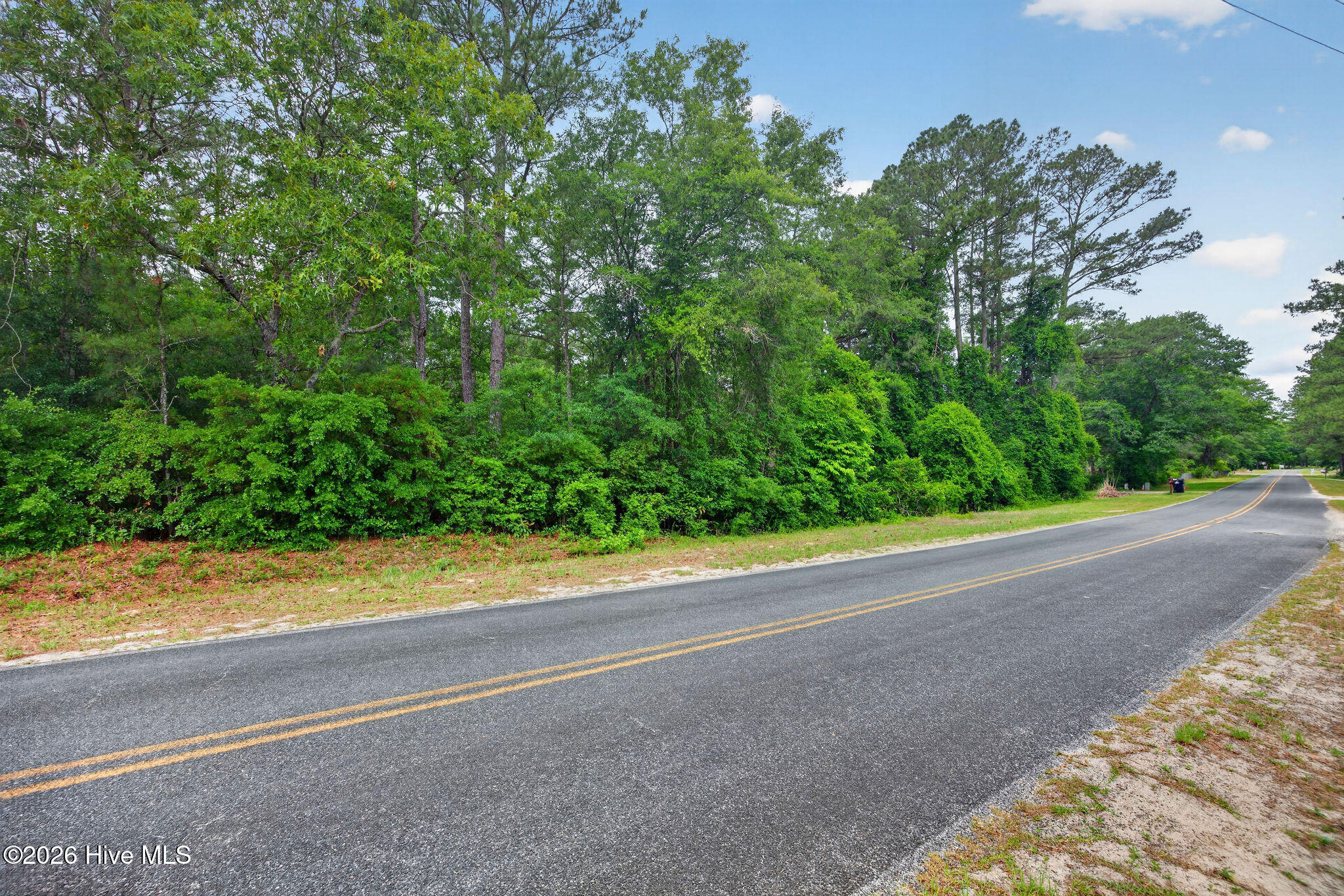 0 Point Caswell Road Atkinson, NC 28421 - Photo 8 of 16 PointCaswellRoadLot-4
