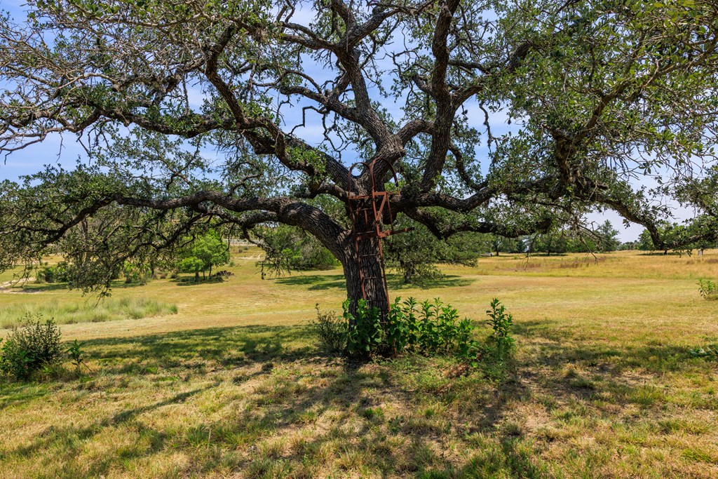 0 Paradise Ranch Road, Unit 12A Fredericksburg, TX 78624 - Photo 48 of 51