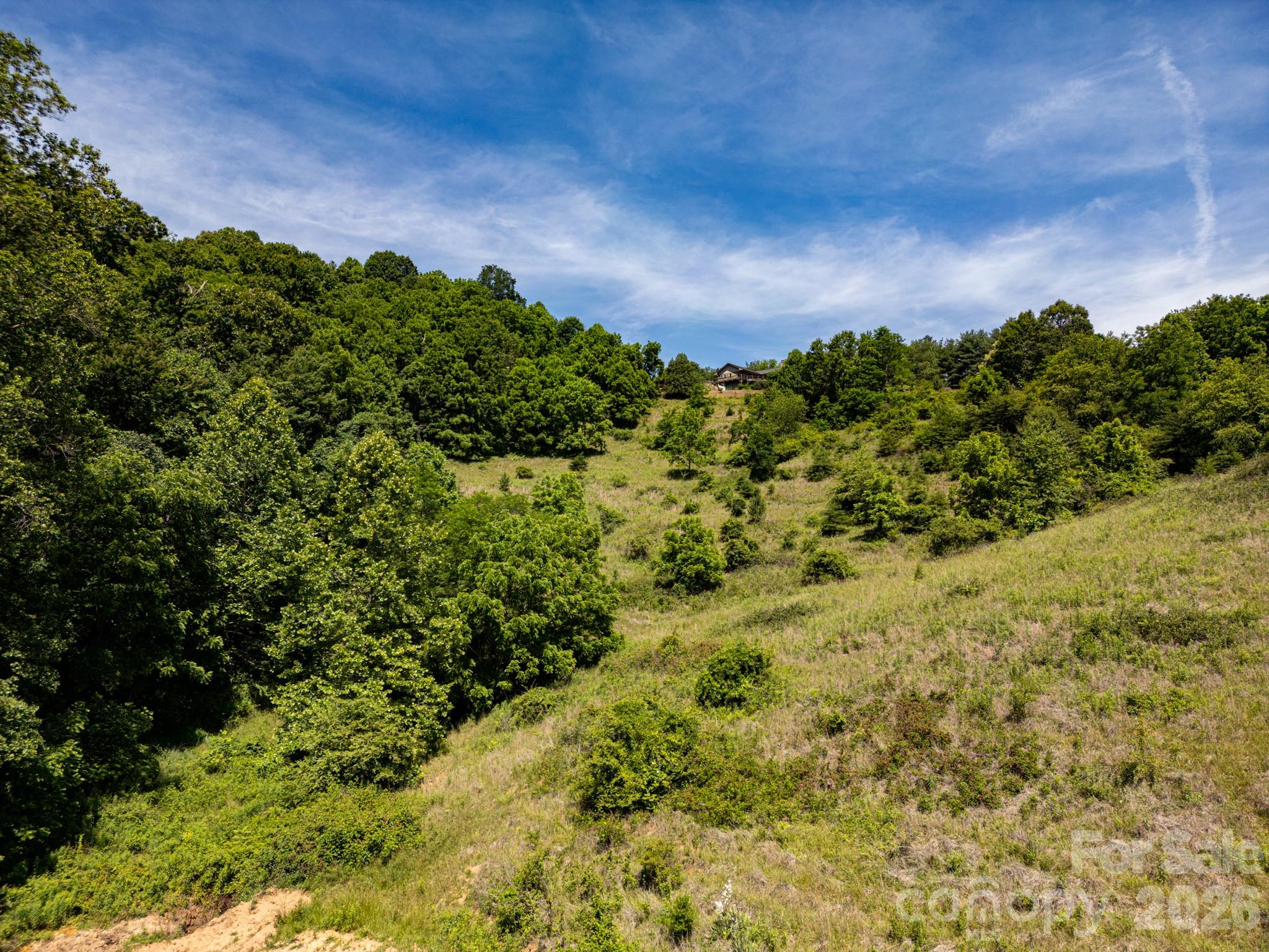 999 Murphy Cove Road Candler, NC 28715 - Photo 15 of 48