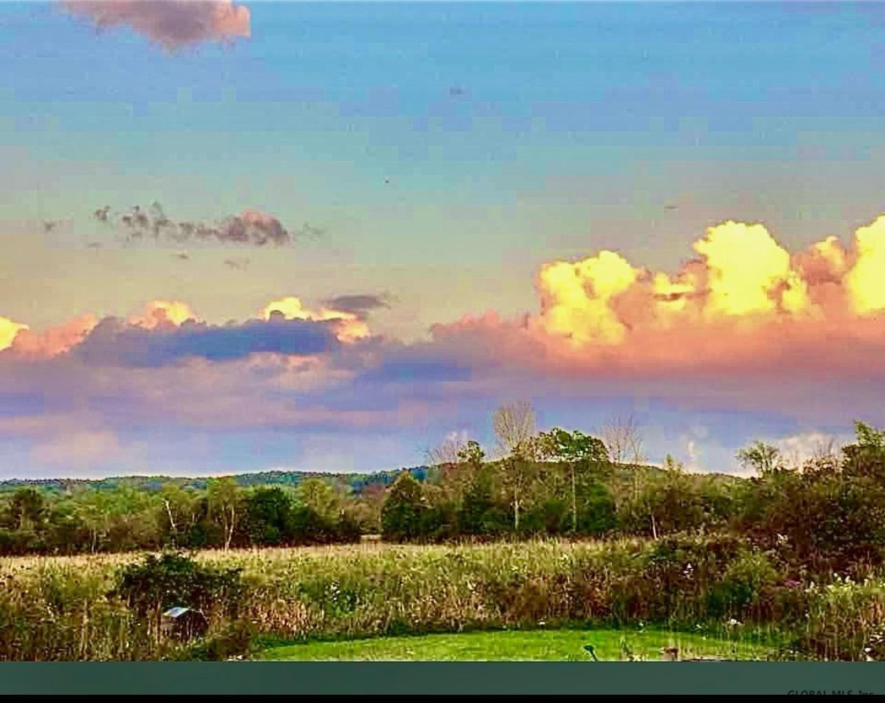 1485 Eaton Corners Road Delanson, NY 12053 - Photo 6 of 34 Photo 6